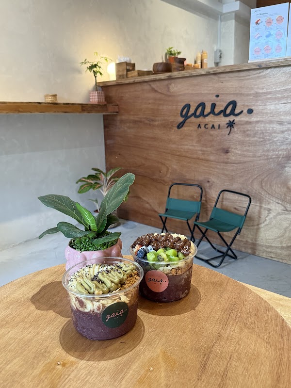 Gaia Açaí 2