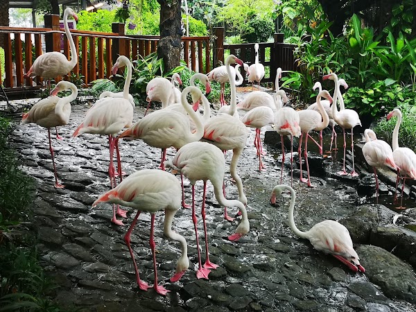 Jing Yuan Leisure Farm