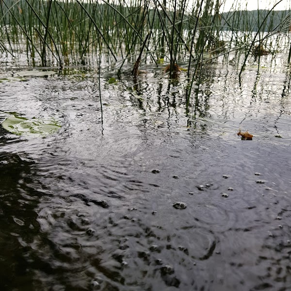 Laacher See