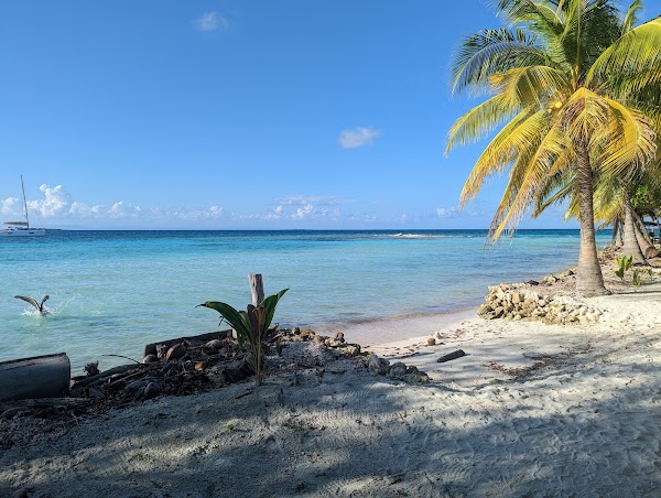 Moho Caye 4