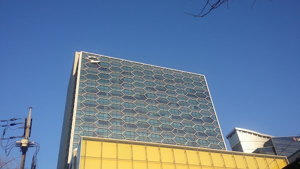 [Seoul] Foodies!!  19