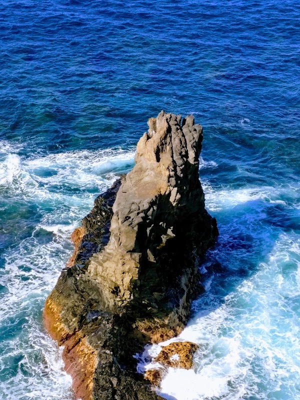 La Palma 1