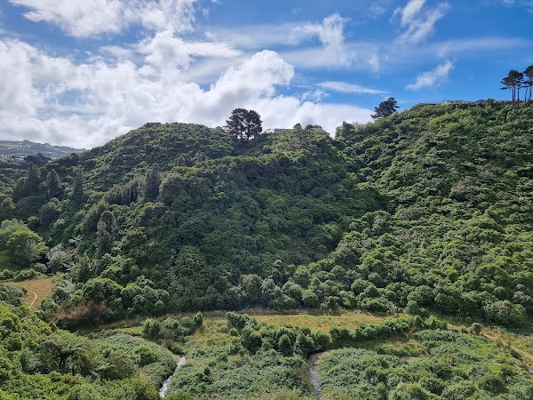 Seton Nossiter Park 5