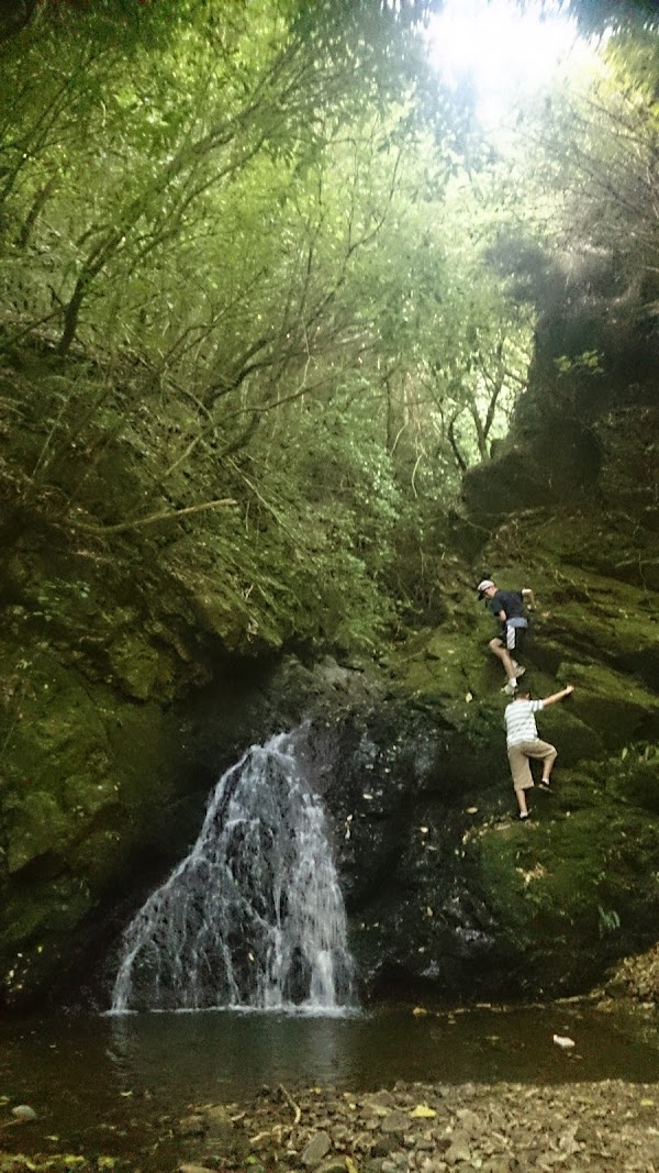 Seton Nossiter Park 4