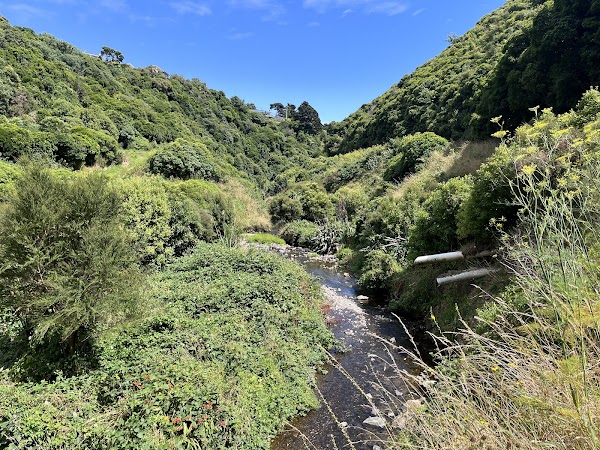 Seton Nossiter Park 3