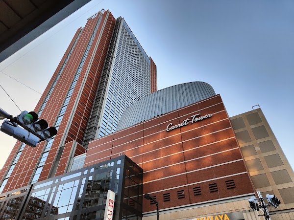 Carrot Tower 5