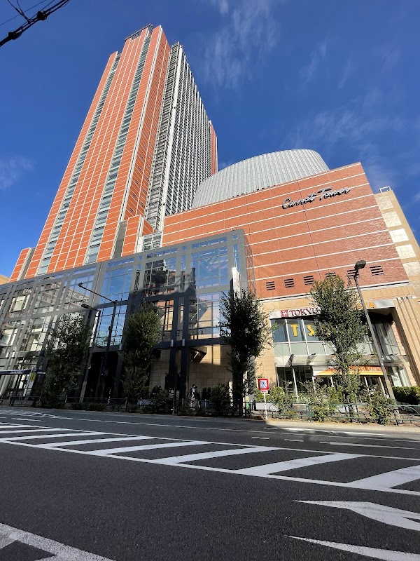 Carrot Tower 3