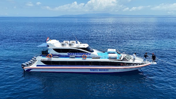 Maruti Group Fast Boats 1