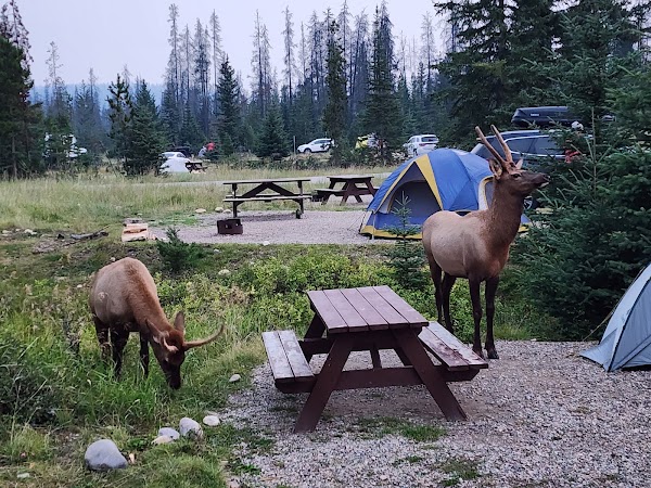 Whistlers Campground 3