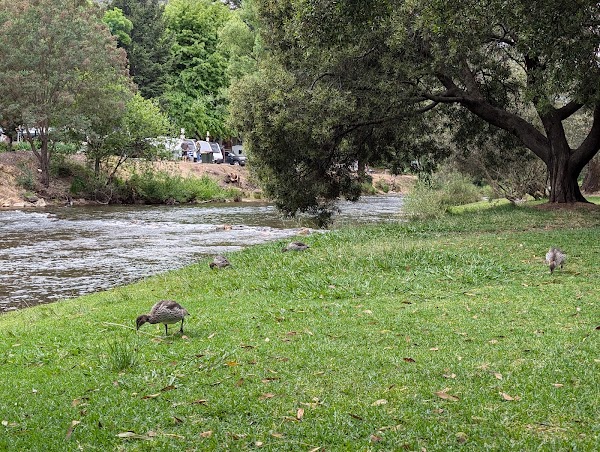 Bright River Swimming Area 5