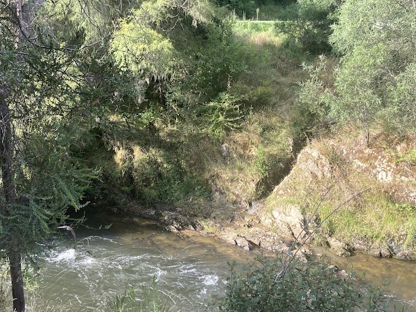 Bright River Swimming Area 2