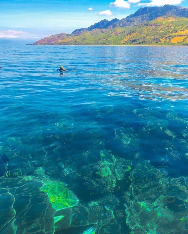Atauro Island