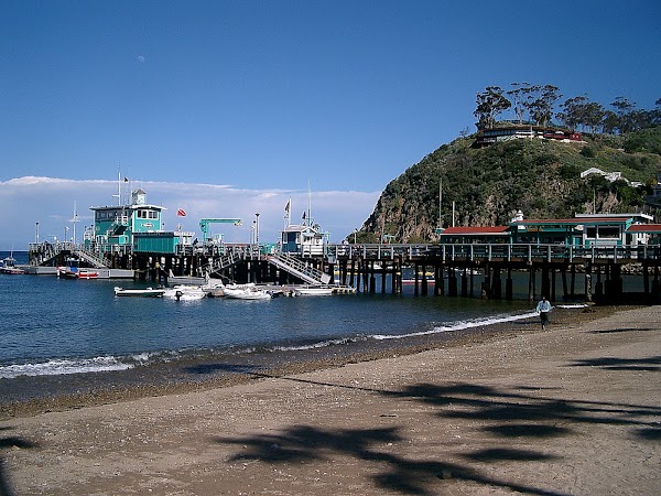 Avalon Bay