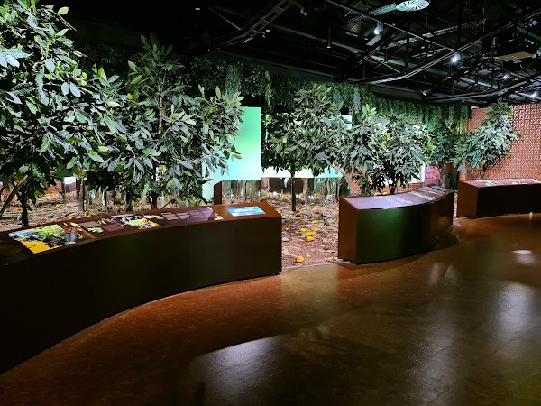The Chocolate Story Museum 3