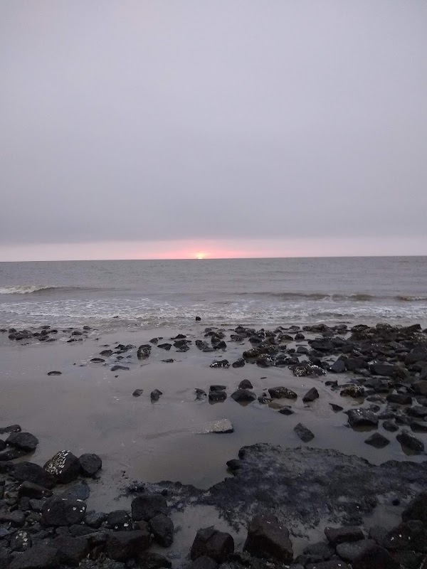 Driftwood Beach 5