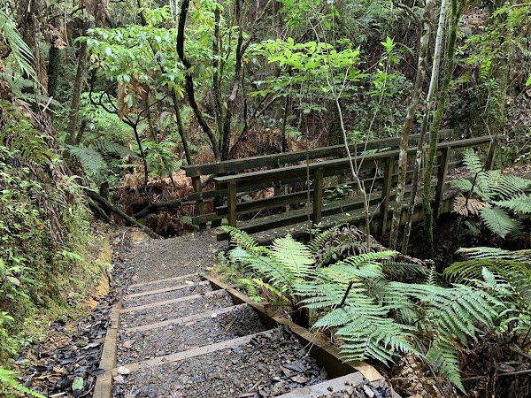 Hunua Ranges Regional Park 2