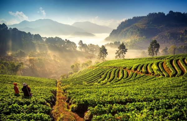 Doi Ang Khang