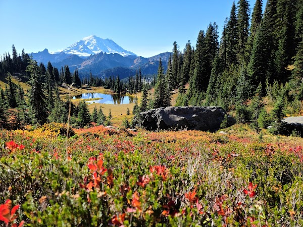 Mount Rainier National Park 1
