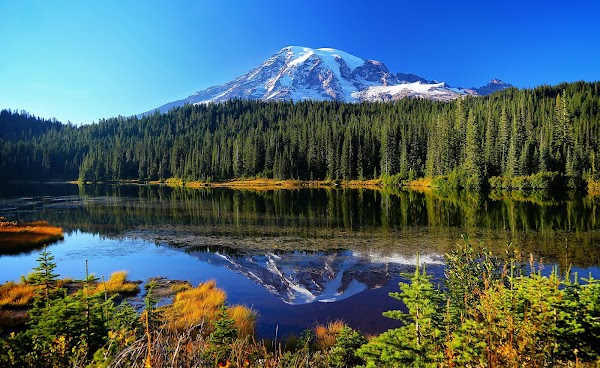 Mount Rainier National Park 4