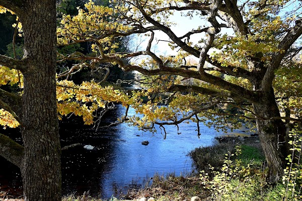 Färnebofjärden National Park 1