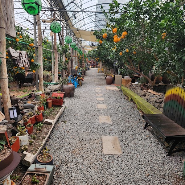 Sanmool Tourist Farm (Cafe, Museum, Farm) 5