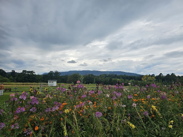 Jones Farm