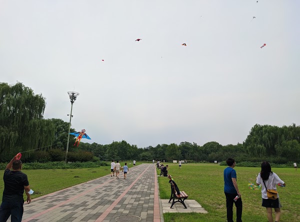 Chaoyang Park （South Gate 1） 5