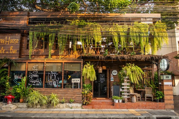 Treehouse Cafe & Bar 4