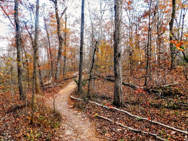 Hawksbill Crag Trailhead 5