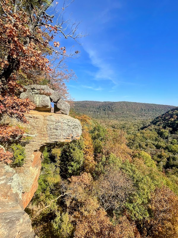 Hawksbill Crag Trailhead 4