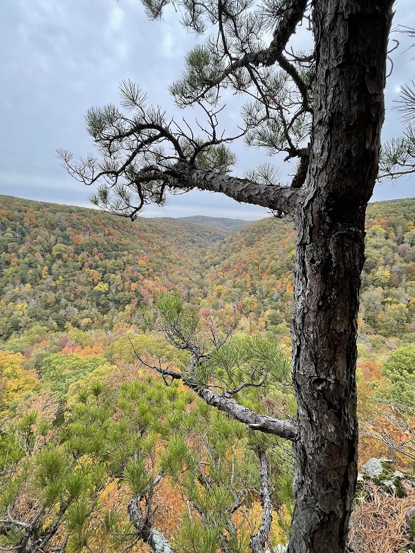 Hawksbill Crag Trailhead 3
