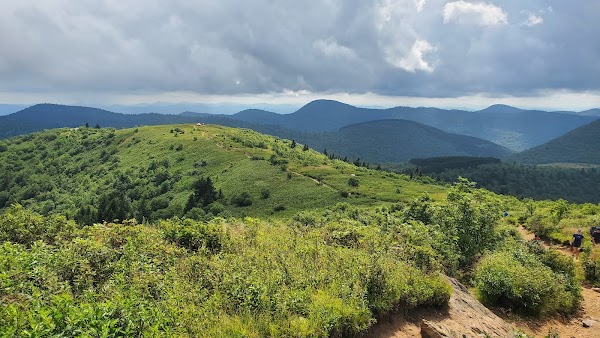 Black Balsam Knob 1