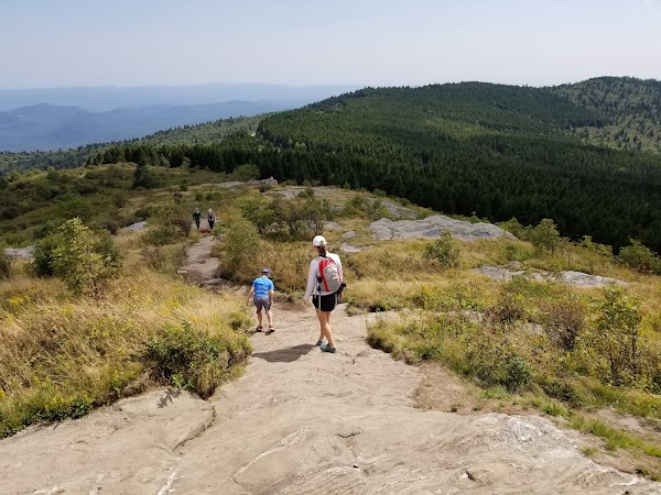 Black Balsam Knob 5