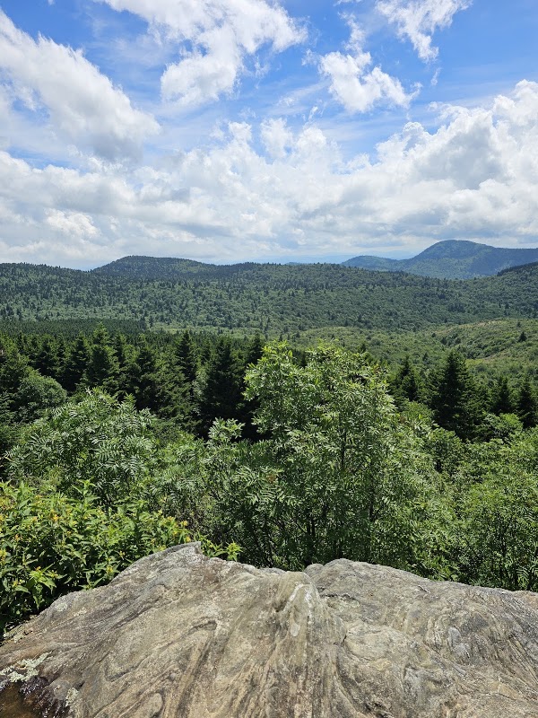 Black Balsam Knob 4