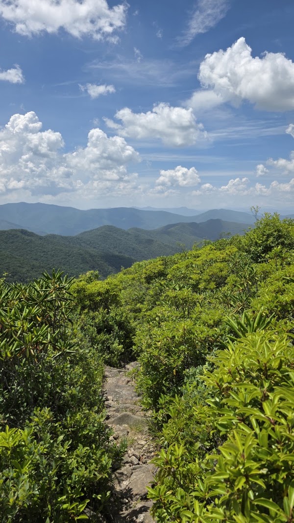 Black Balsam Knob 3