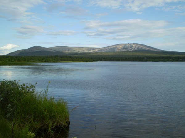 Ylläs
