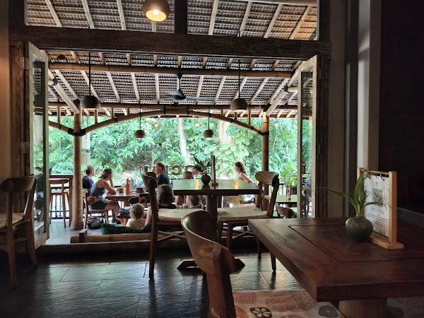 Social Monkeys Ubud 3