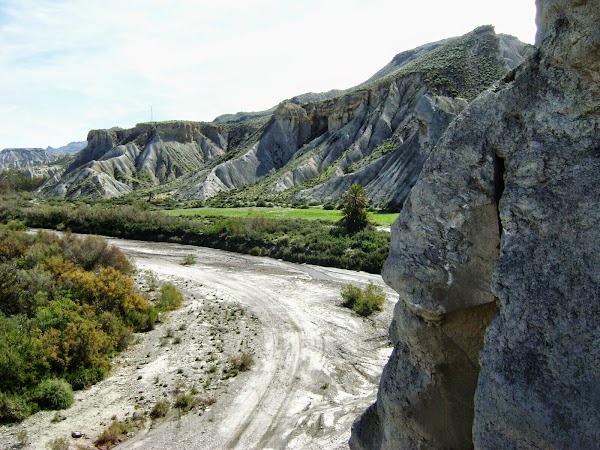 Tabernas 4
