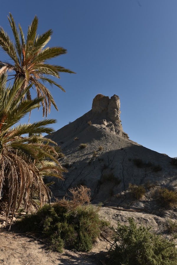 Tabernas 3