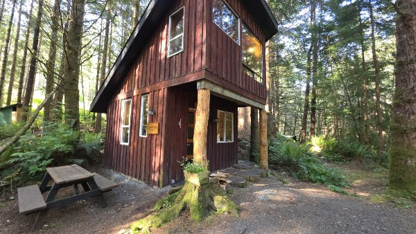 Fern Gully Cabins