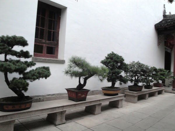 Xuhui District 2