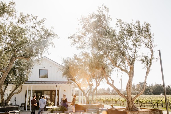 Biddle Ranch Vineyard