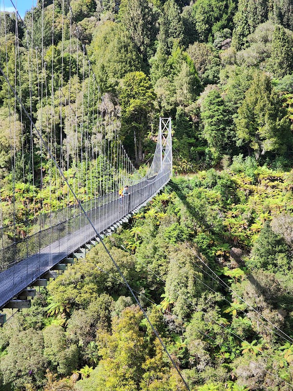 Pureora Forest Park