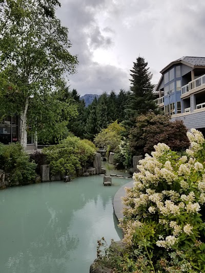 Whistler 1