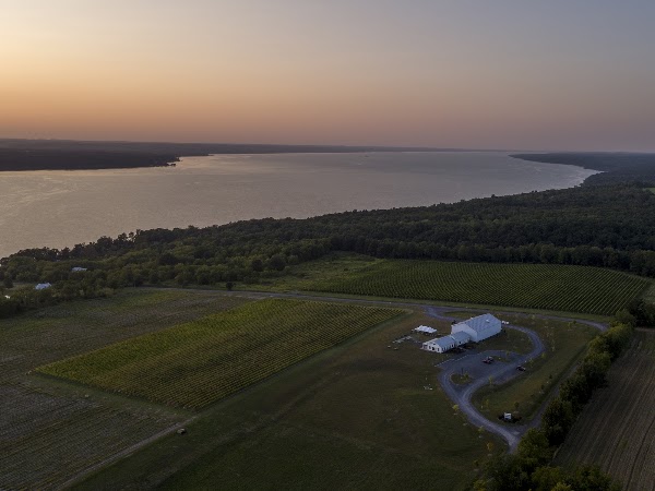 Boundary Breaks Vineyard