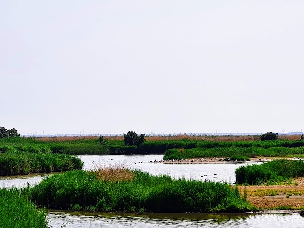 Tagus Estuary Nature Reserve 1