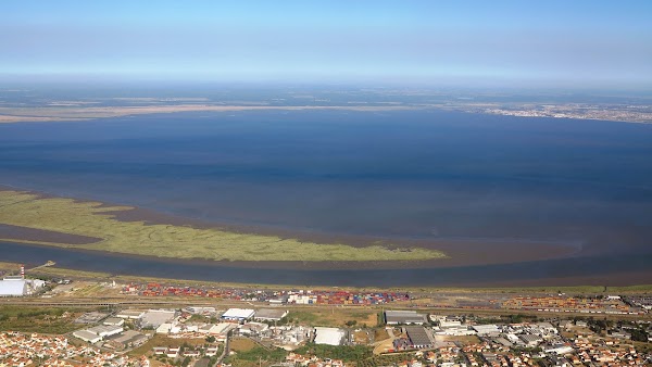 Tagus Estuary Nature Reserve 5