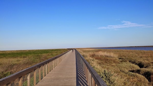 Tagus Estuary Nature Reserve 4
