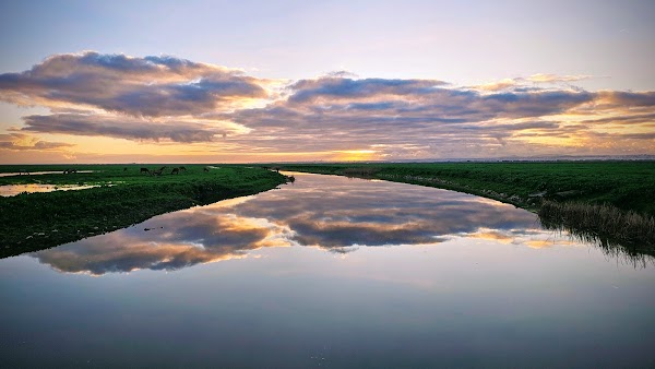 Tagus Estuary Nature Reserve 3