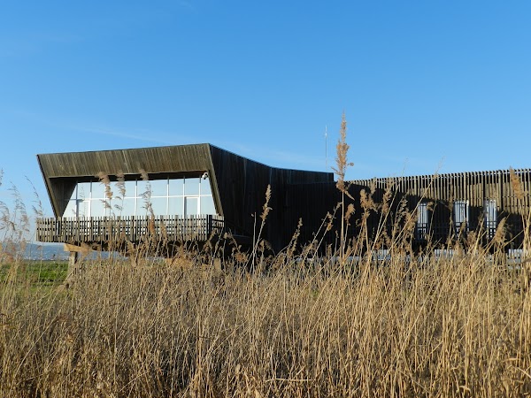 Tagus Estuary Nature Reserve 2